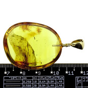 Baltic amber pendant gold plated Baltic amber pendant gold plated