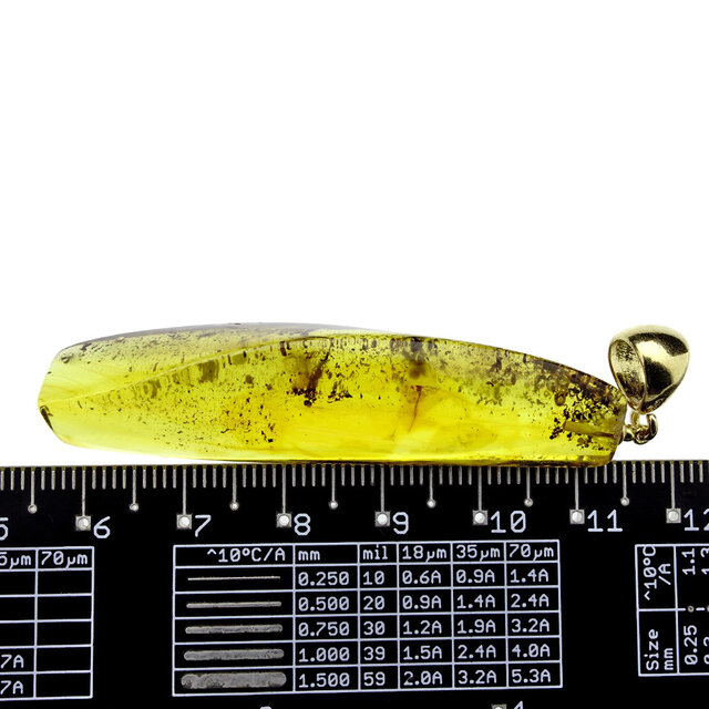Baltic amber pendant gold plated Baltic amber pendant gold plated