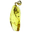 Baltic amber pendant gold plated