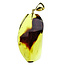 Baltic amber pendant gold plated