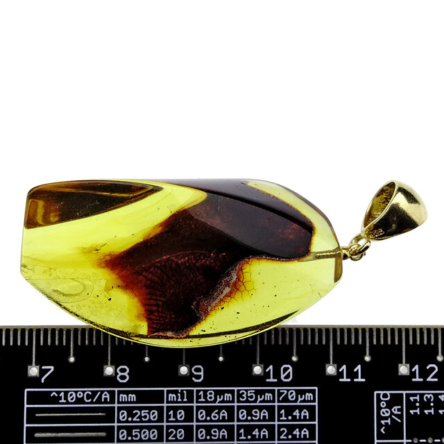 Baltic amber pendant gold plated