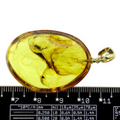 Baltic amber pendant gold plated Baltic amber pendant gold plated