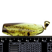 Baltic amber pendant gold plated Baltic amber pendant gold plated
