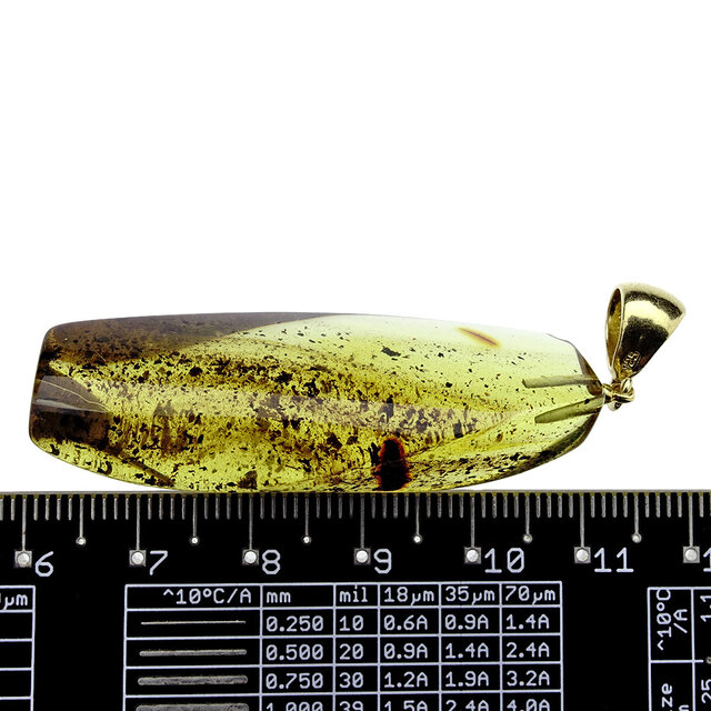 Baltic amber pendant gold plated Baltic amber pendant gold plated