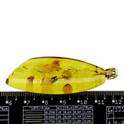 Baltic amber pendant gold plated