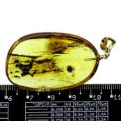Baltic amber pendant gold plated Baltic amber pendant gold plated