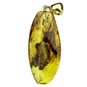 Amber pendant