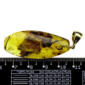 Baltic amber pendant gold plated Baltic amber pendant gold plated