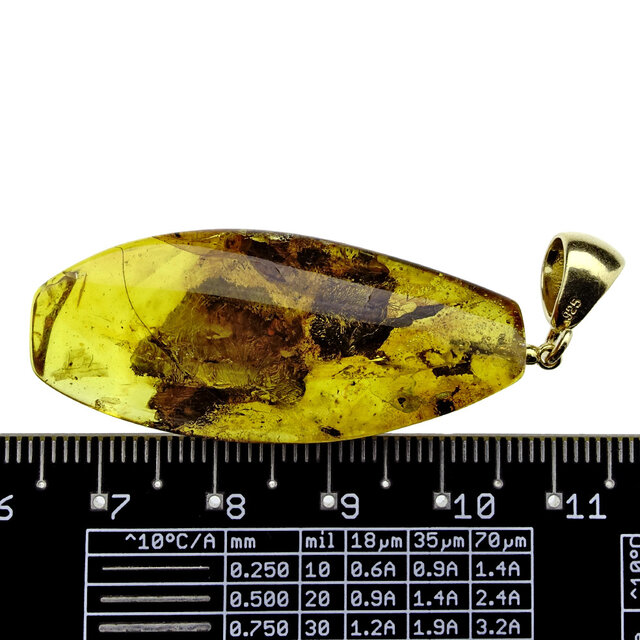 Baltic amber pendant gold plated Baltic amber pendant gold plated