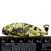 Baltic amber pendant gold plated Baltic amber pendant gold plated