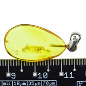 Hanger van Baltisch Barnsteen met zilver