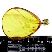 Baltic amber pendant gold plated Baltic amber pendant gold plated