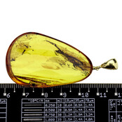 Baltic amber pendant gold plated Baltic amber pendant gold plated