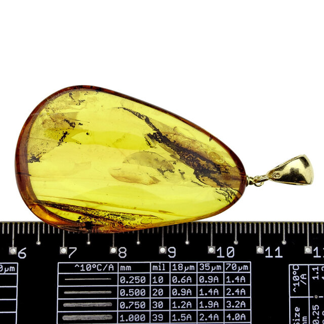 Baltic amber pendant gold plated Baltic amber pendant gold plated