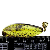 Baltic amber pendant gold plated