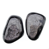 Glänzendes Hyperstheen Glänzendes Hyperstheen