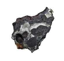 Pallasit Meteorit Habaswein Kenia