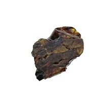 Pallasite meteorite from Habaswein Kenya