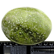 Mooie serpentijn uit Pakistan Mooie serpentijn uit Pakistan