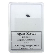 Aguas Zarcas Meteorit