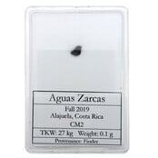 Aguas Zarcas meteorite, CM2 chondrite