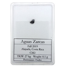 Aguas Zarcas Meteorit