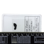 Aguas Zarcas meteorite, CM2 chondrite Aguas Zarcas meteorite, CM2 chondrite