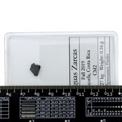 Aguas Zarcas meteorite, CM2 chondrite