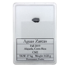 Aguas Zarcas Meteorit