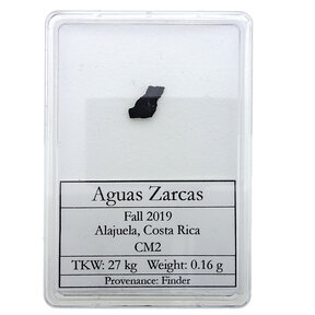 Aguas Zarcas meteorite