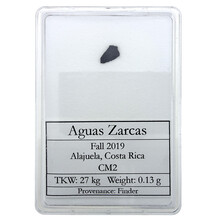 Aguas Zarcas meteorite