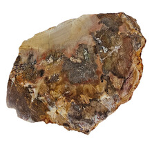 Petrified wood from Madagascar 640 grams