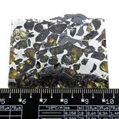 Seymchan Pallasit Meteorit Seymchan Pallasit Meteorit