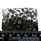 Seymchan meteorite