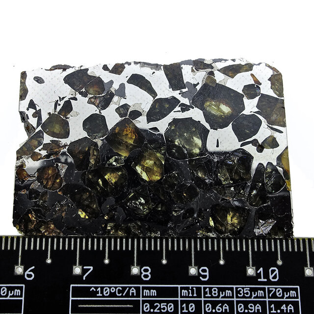 Seymchan Pallasit Meteorit
