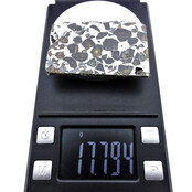 Seymchan Pallasit Meteorit