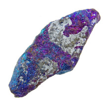 Borniet of pauwenerts