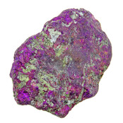 Borniet of pauwenerts Borniet of pauwenerts