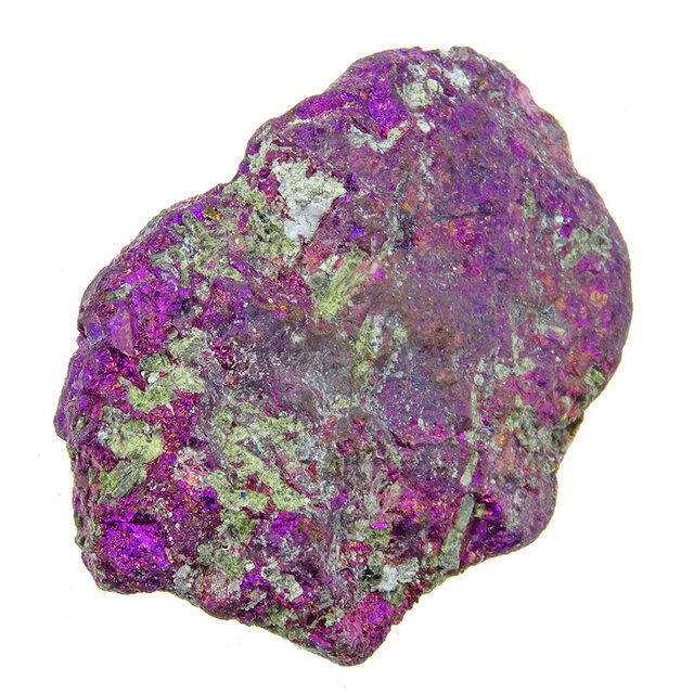 Borniet of pauwenerts Borniet of pauwenerts