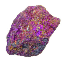 Borniet of pauwenerts