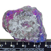 Bornite or peacock ore Bornite or peacock ore