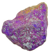 Borniet of pauwenerts Borniet of pauwenerts