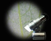 Zakmicroscoop met 45x vergroting