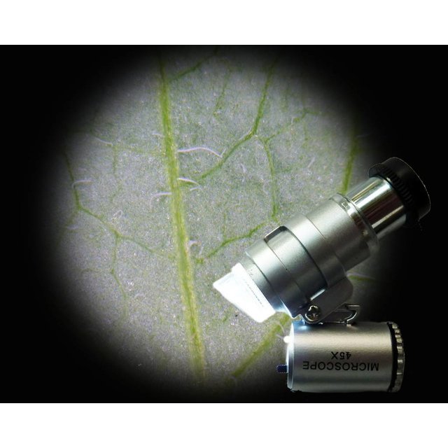 Zakmicroscoop met 45x vergroting