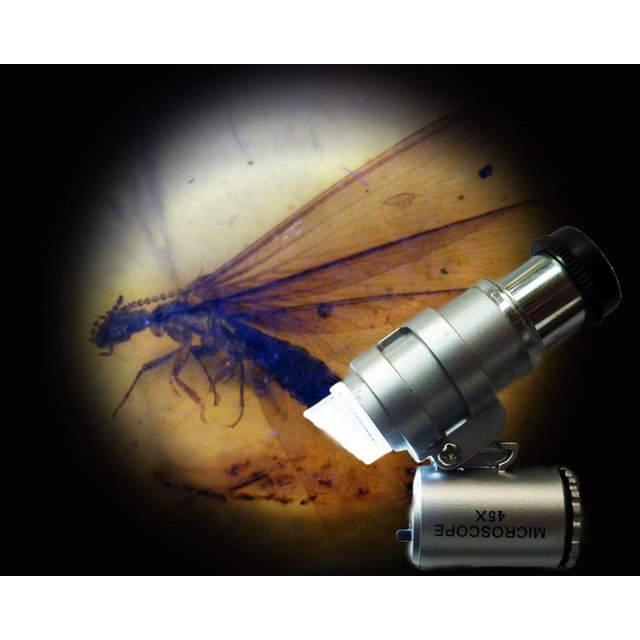 Pocket microscope with 45x magnification