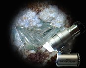 Pocket microscope with 45x magnification