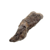 Meteorite from Barringer Crater