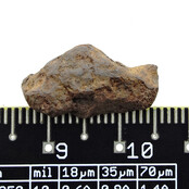 Meteorite from Barringer Crater