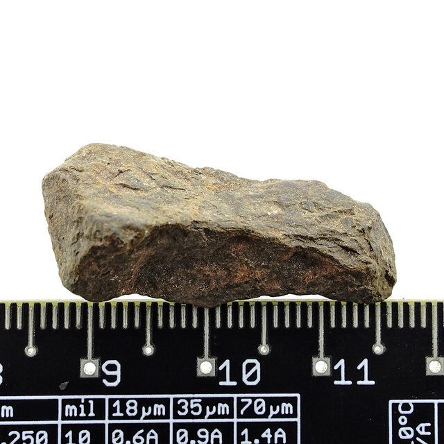 Iron meteorite from the Atlas Mountains