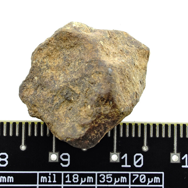 Iron meteorite from the Atlas Mountains Iron meteorite from the Atlas Mountains